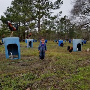 Meet your Posher, Gregorio